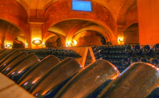 Bottle cellars at Bellavista.jpg